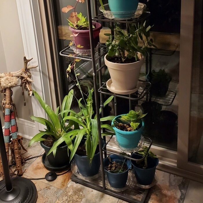 Norco Rectangular Plant Stand