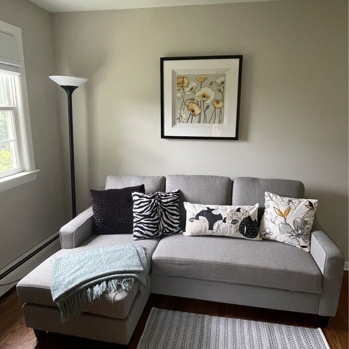 Nostrand 82" Wide Left Hand Facing Sleeper Sofa & Chaise