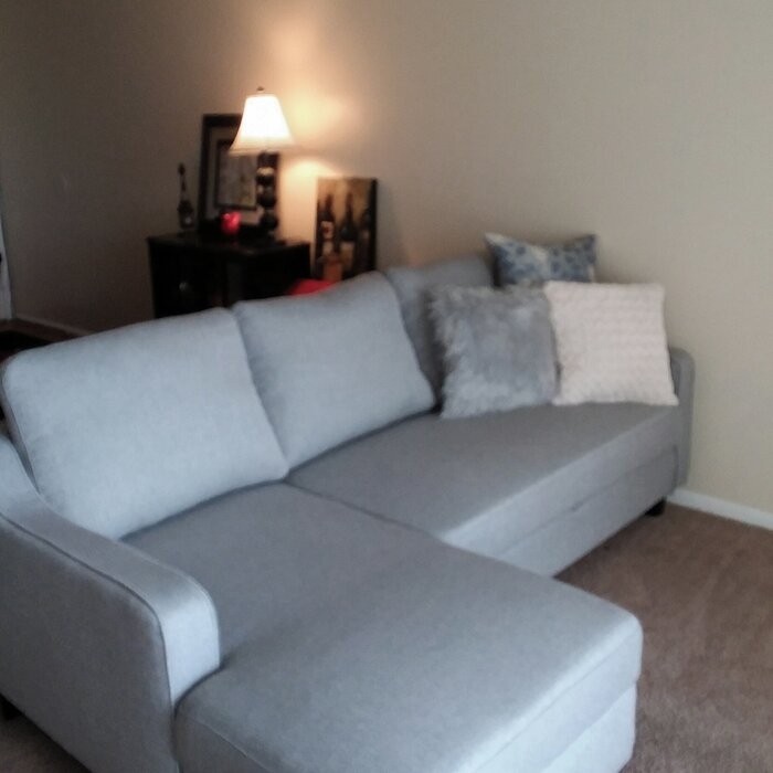Nostrand 82" Wide Left Hand Facing Sleeper Sofa & Chaise