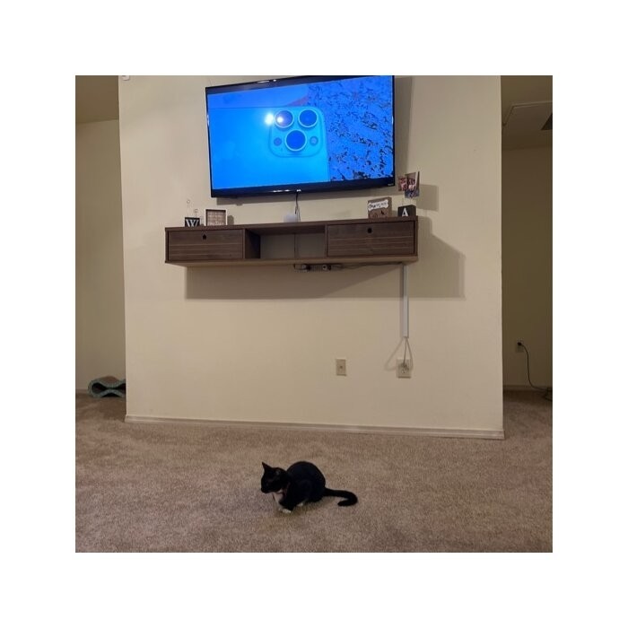 Oglethorpe Floating TV Stand for TVs up to 60"