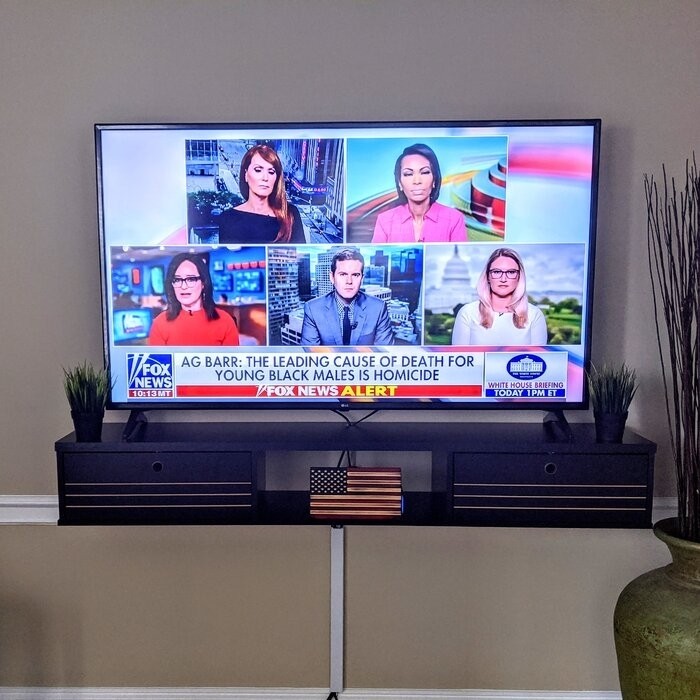 Oglethorpe Floating TV Stand for TVs up to 60"
