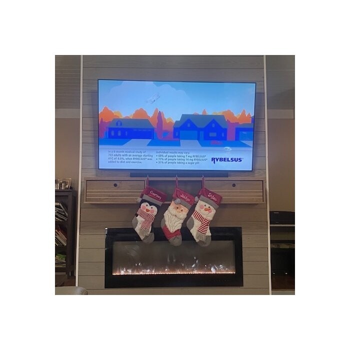 Oglethorpe Floating TV Stand for TVs up to 60"