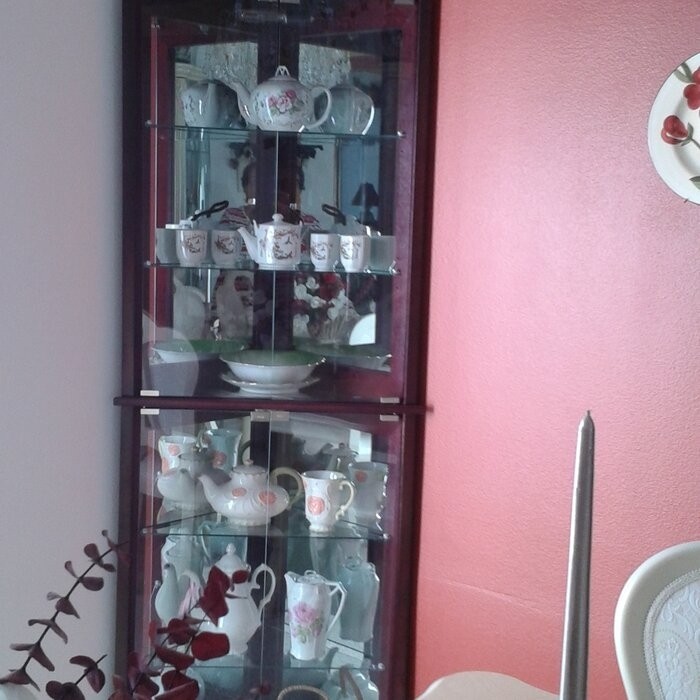 Olivian 26'' Wide Mirrored Back Curio Cabinet with Lighting