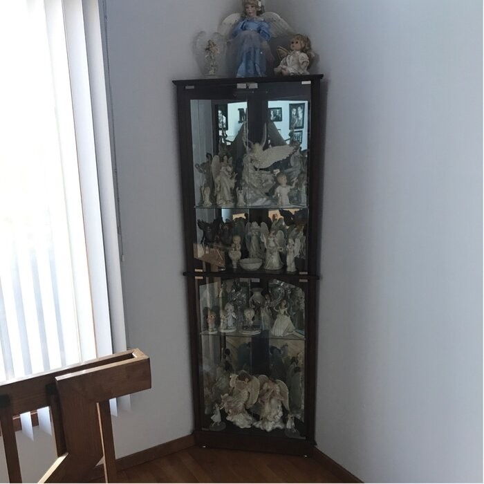 Olivian 26'' Wide Mirrored Back Curio Cabinet with Lighting