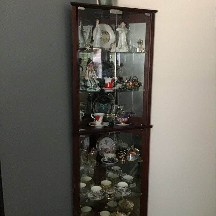 Olivian 26'' Wide Mirrored Back Curio Cabinet with Lighting