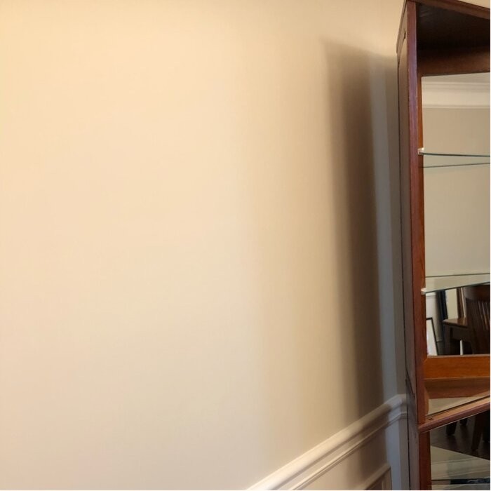 Olivian 26'' Wide Mirrored Back Curio Cabinet with Lighting