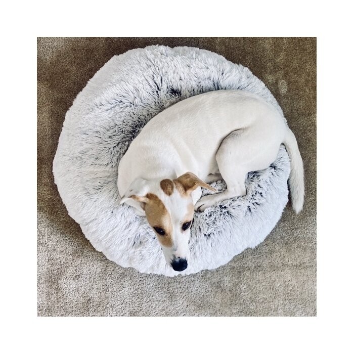 Pattijo Pouf Floor Pillow