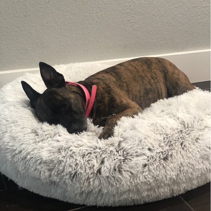 Pattijo Pouf Floor Pillow