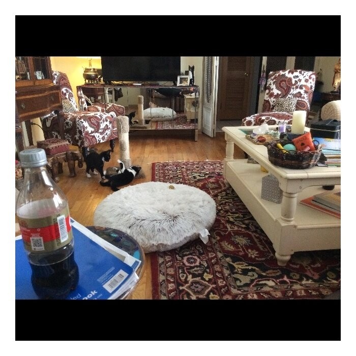 Pattijo Pouf Floor Pillow
