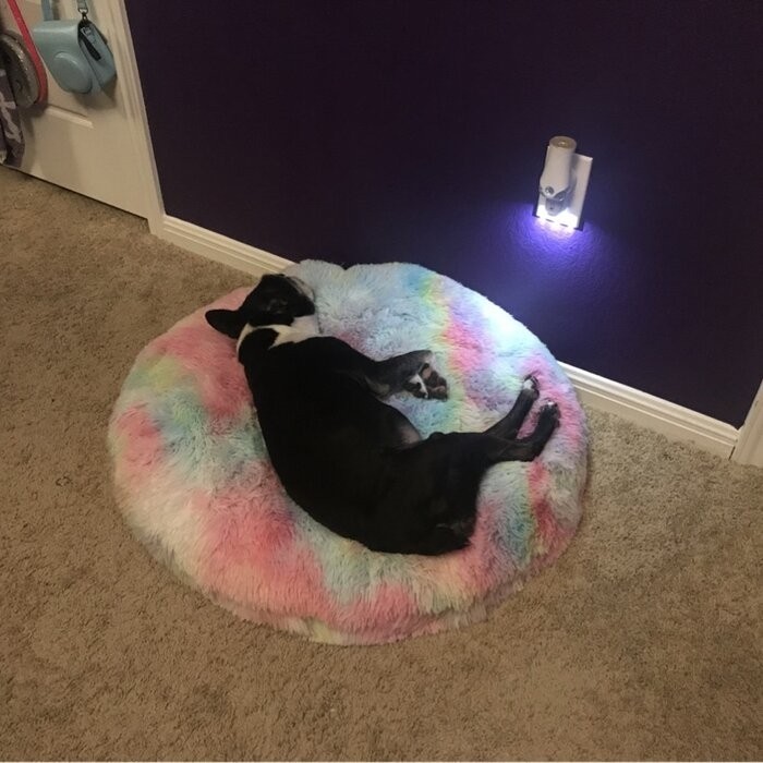 Pattijo Pouf Floor Pillow