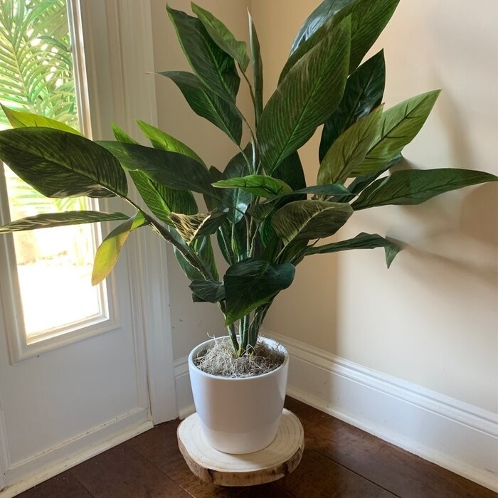 Portalia Round Pedestal Solid Wood Plant Stand