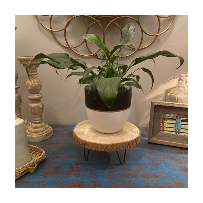 Portalia Round Pedestal Solid Wood Plant Stand