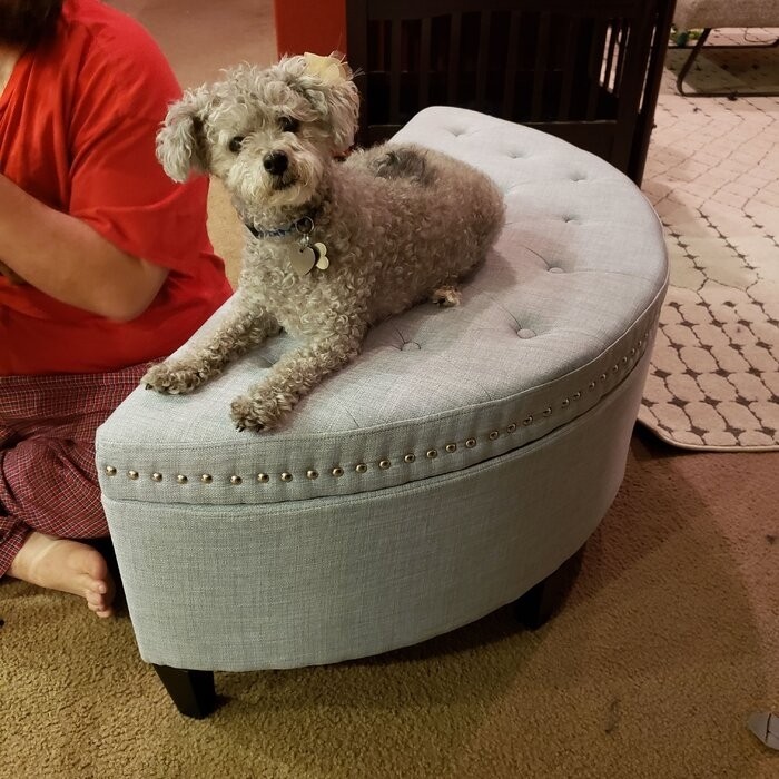 Roxann Upholstered Flip Top Storage Bench