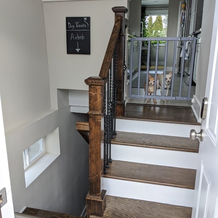 Safety Mate Expandable Wall Mounted Pet Gate