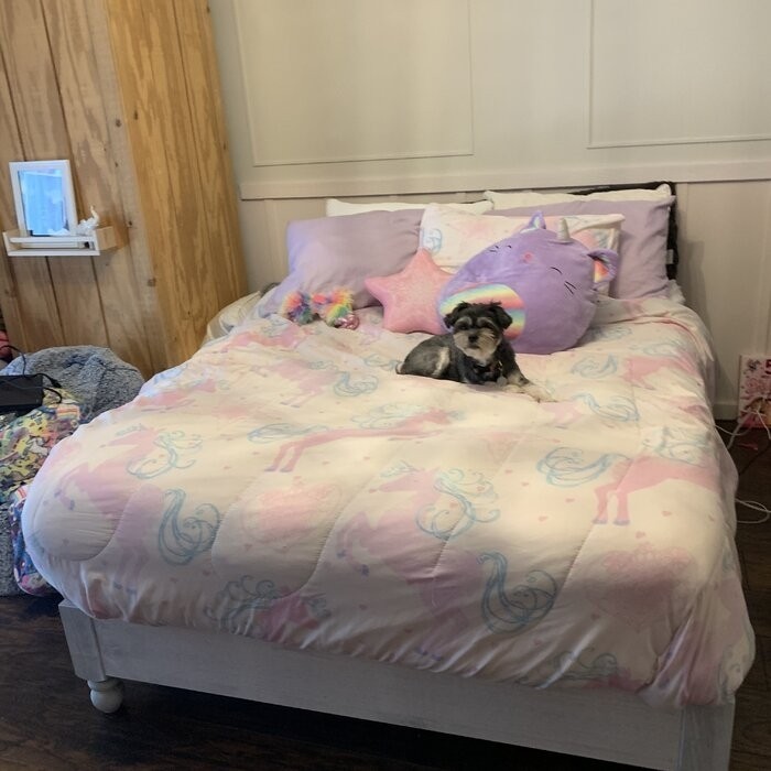 Shondra 12'' Bed Frame