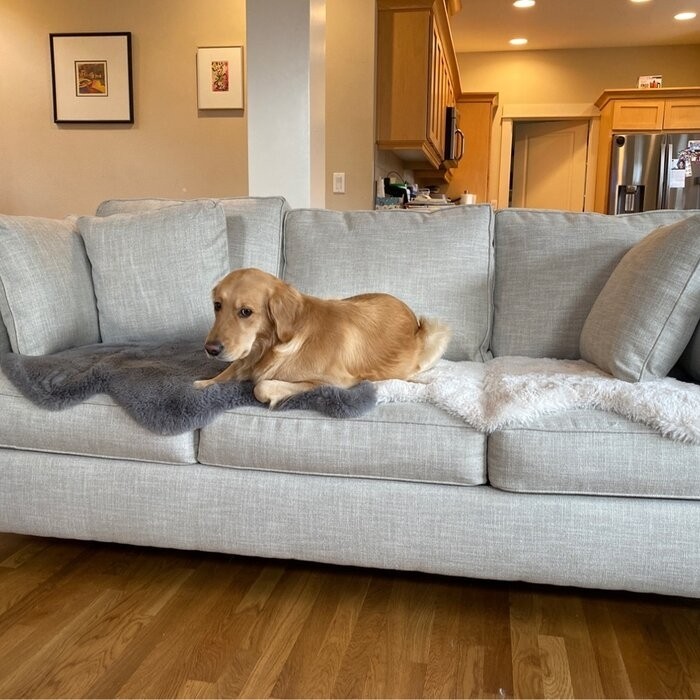 Sonny 91'' Sofa with Reversible Cushions