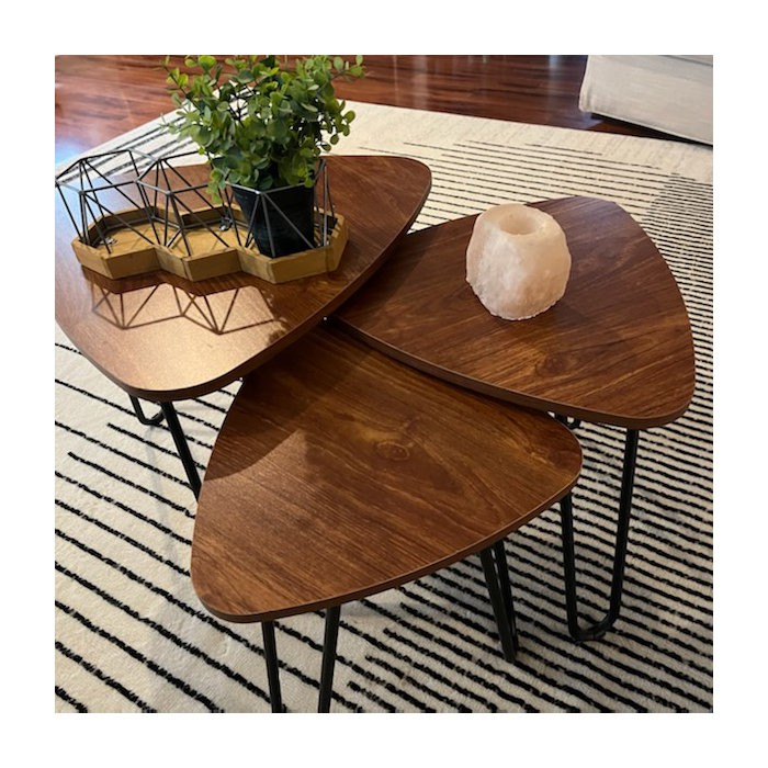 Summerall Nesting Coffee Tables, Set Of 3 End Side Tables Modern Furniture Decor Table Sets, Sturdy And Easy Assembly, Accent Furniture In Home Office