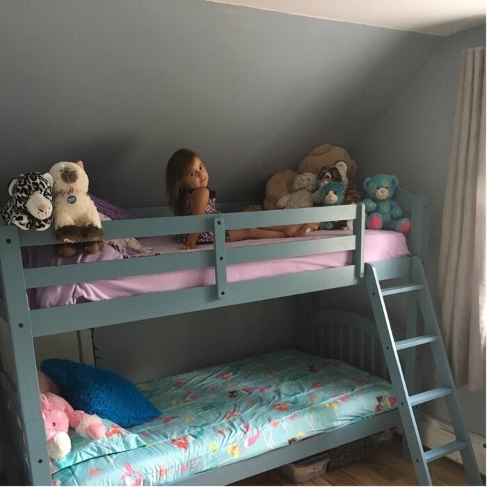 Swen Twin Over Twin Standard Bunk Bed by Harriet Bee