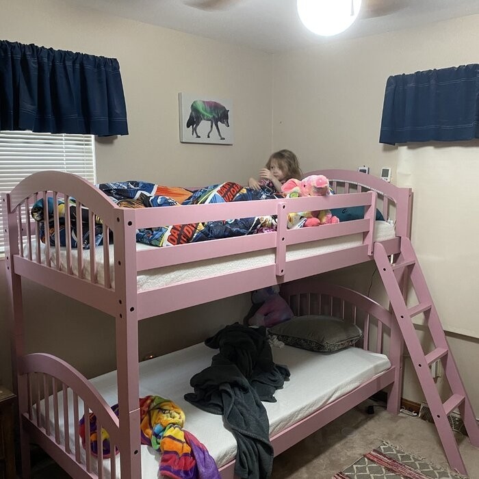 Swen Twin Over Twin Standard Bunk Bed by Harriet Bee