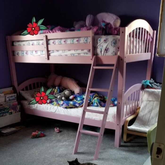 Swen Twin Over Twin Standard Bunk Bed by Harriet Bee