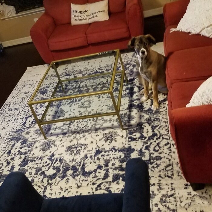 Sydnor 4 Legs Coffee Table