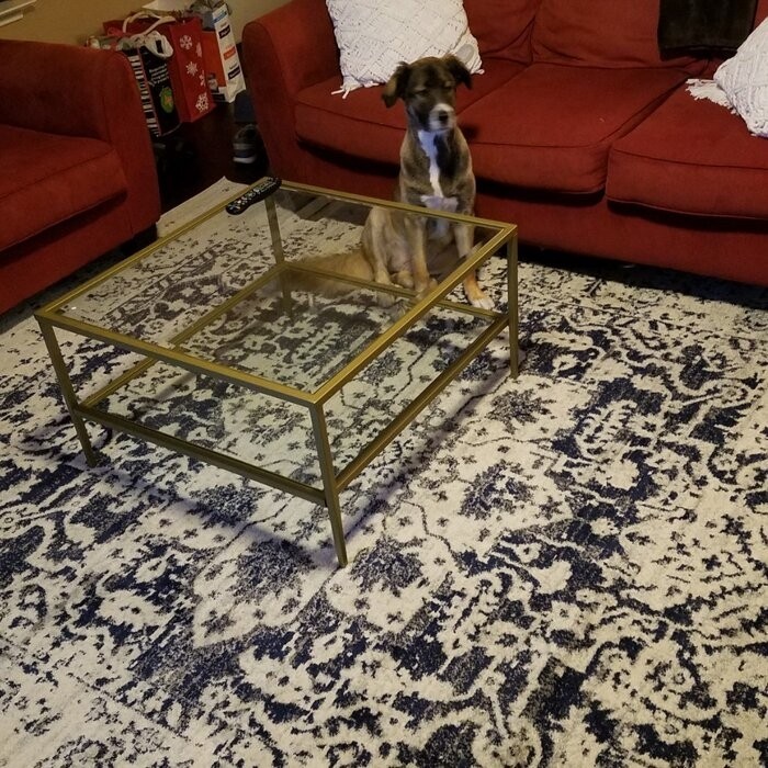 Sydnor 4 Legs Coffee Table