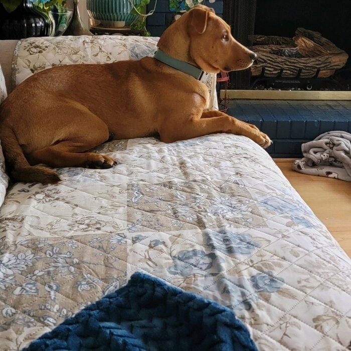 T-Cushion Sofa Slipcover