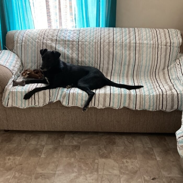 T-Cushion Sofa Slipcover