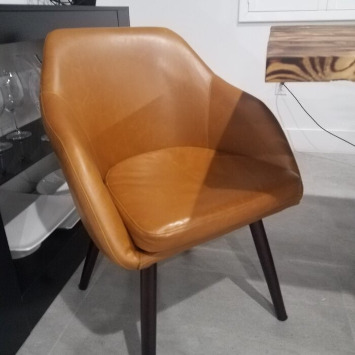 Terri Arm Chair in Cappuccino Brown