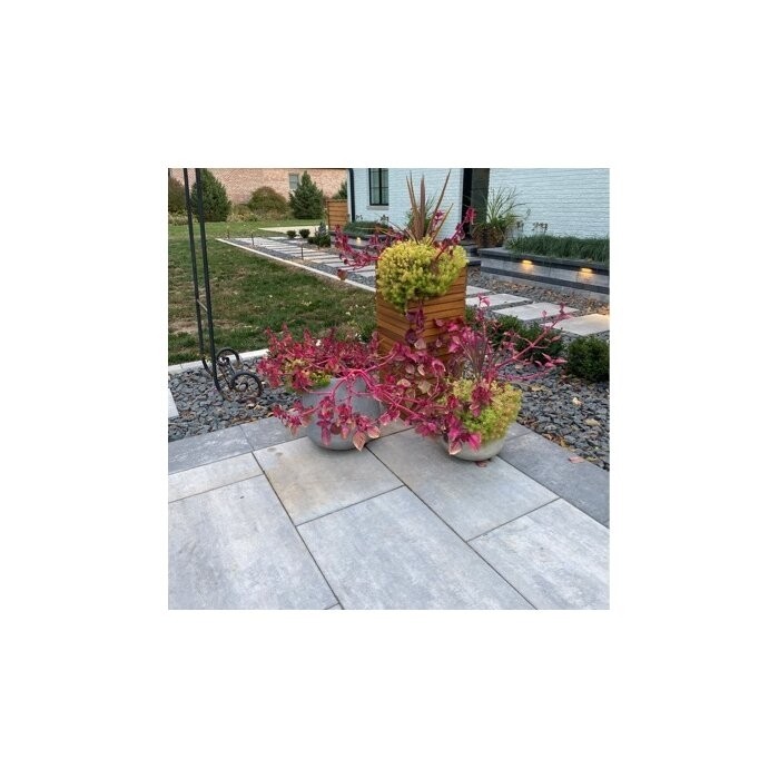 Terri Fiberglass Pot Planter