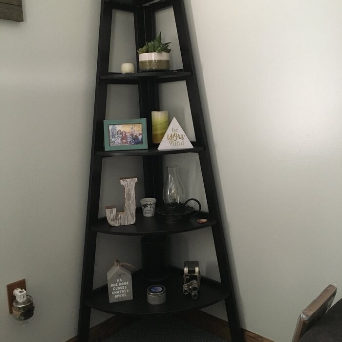 Tisha 63'' H x 26.5'' W Bookcase