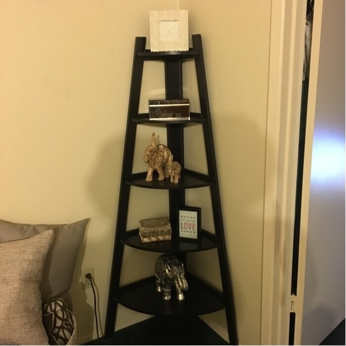 Tisha 63'' H x 26.5'' W Bookcase