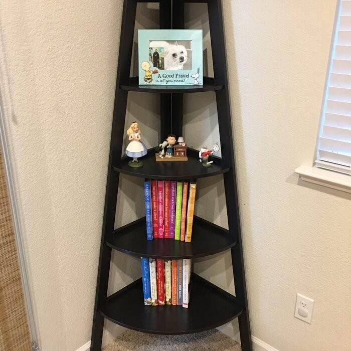 Tisha 63'' H x 26.5'' W Bookcase