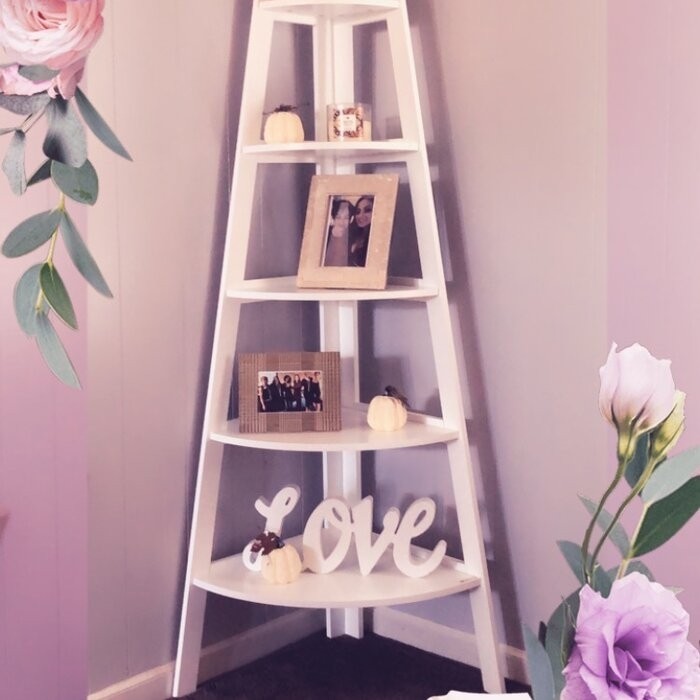 Tisha 63'' H x 26.5'' W Bookcase