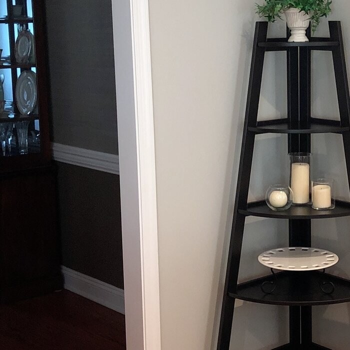 Tisha 63'' H x 26.5'' W Bookcase