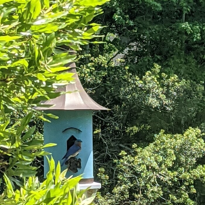 Tivtsazn 34 in x 15.5 in x 15.5 in Birdhouse