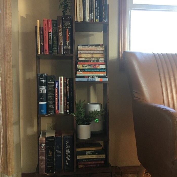 Todi 55.11'' H x 19.68'' W Standard Bookcase