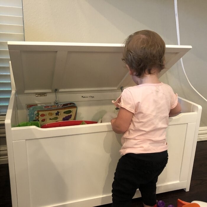 Toy Storage Bench