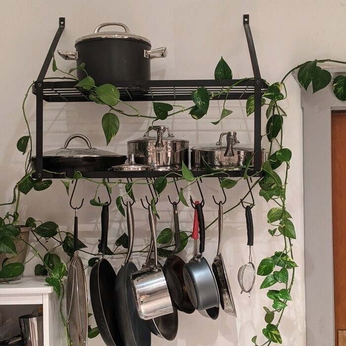 Wall Mounted Pot Rack