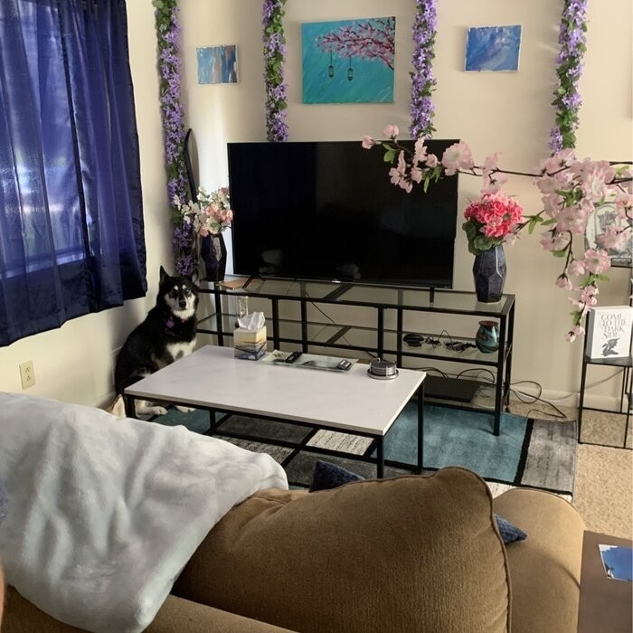 Wyndmoor TV Stand for TVs up to 75"