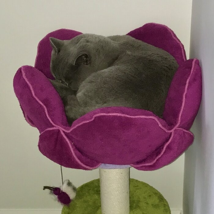 45" Bermudez Cat Tree