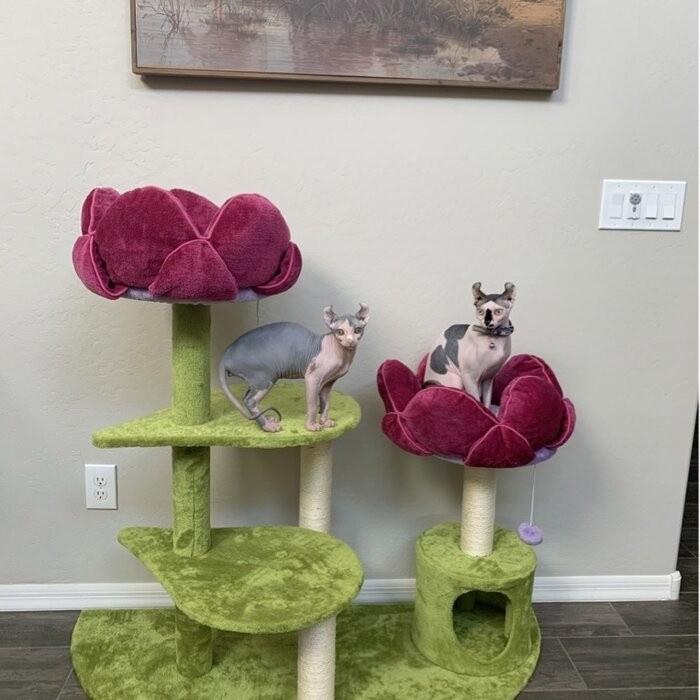 45" Bermudez Cat Tree