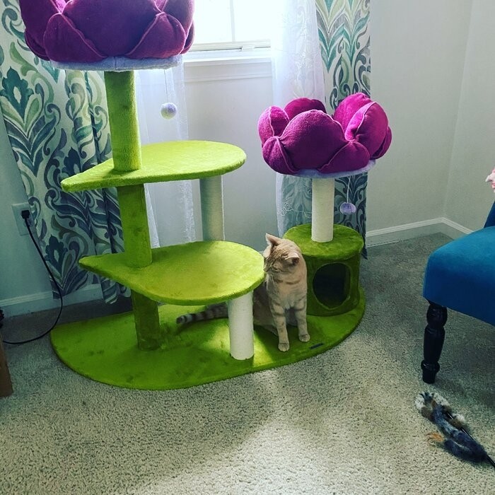 45" Bermudez Cat Tree