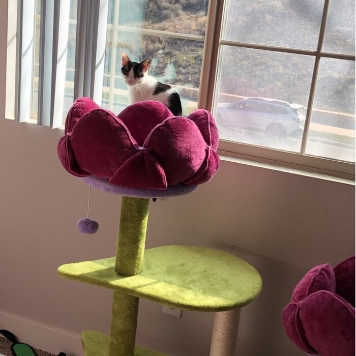 45" Bermudez Cat Tree
