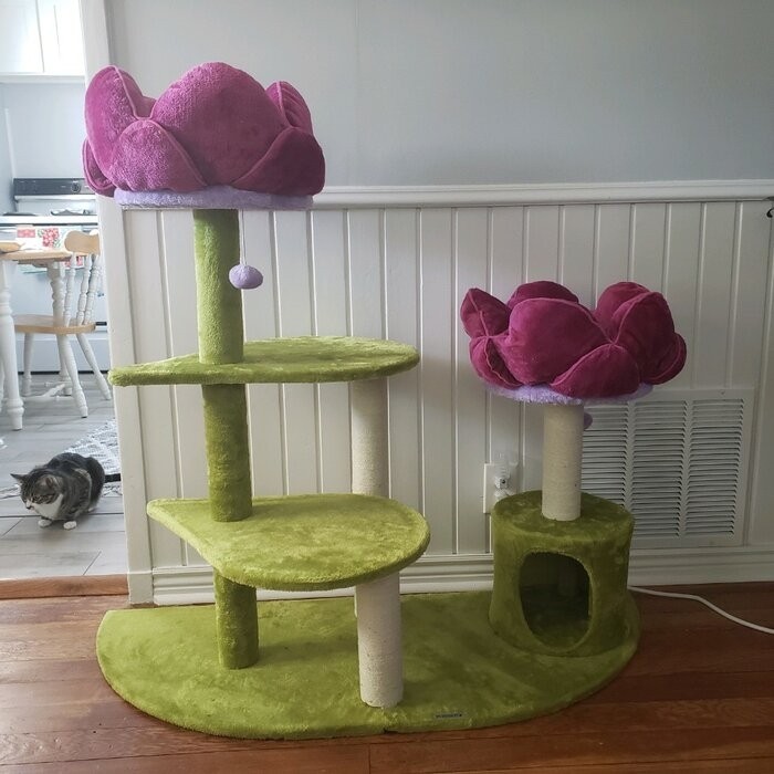 45" Bermudez Cat Tree