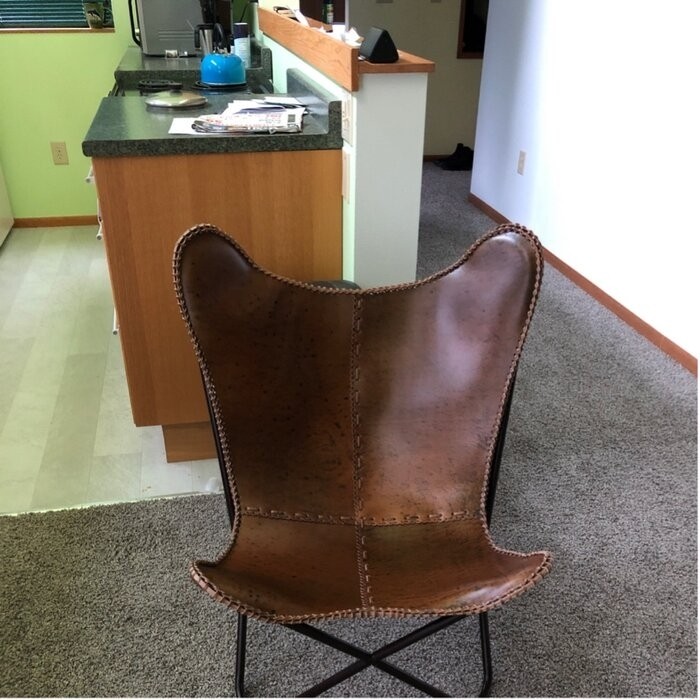 Aadhvika 31'' Wide Genuine Leather Top Grain Leather Down Cushion Butterfly Chair