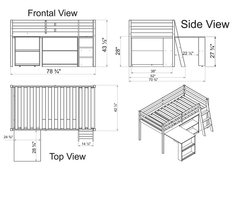 Abigail Twin Solid Wood Loft Bed with Bookcase by Zoomie Kids
