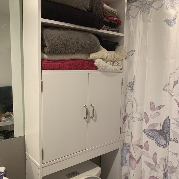 Aidie 24.8'' W x 76.8'' H x 7.87'' D Over-The-Toilet Storage