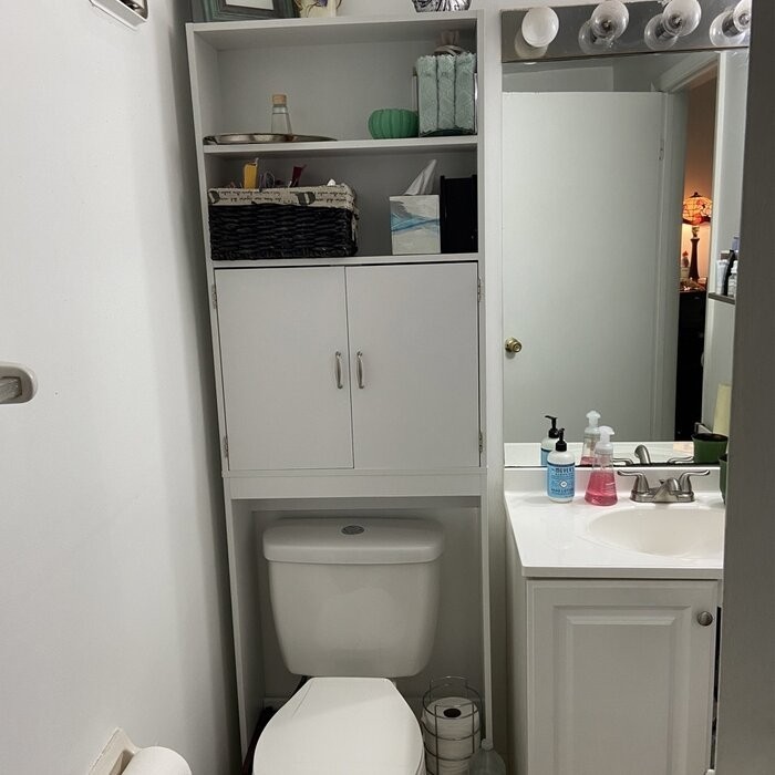 Aidie 24.8'' W x 76.8'' H x 7.87'' D Over-The-Toilet Storage