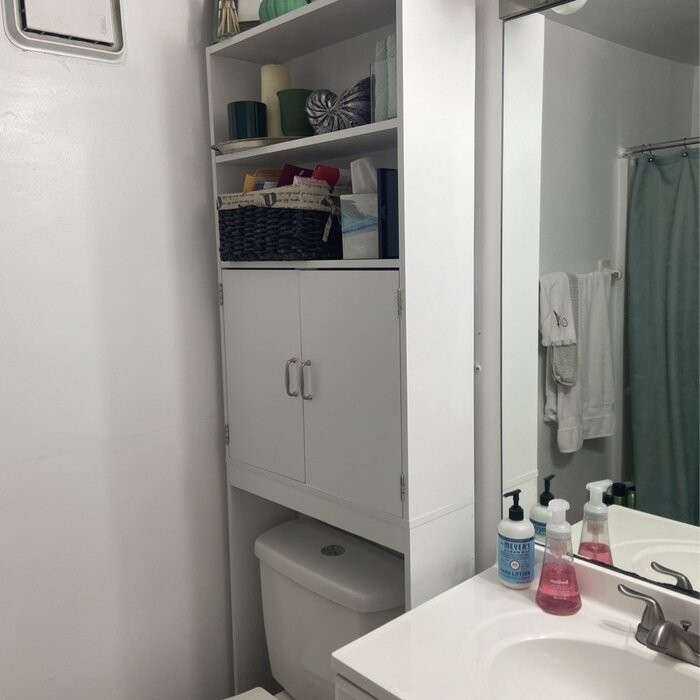 Aidie 24.8'' W x 76.8'' H x 7.87'' D Over-The-Toilet Storage